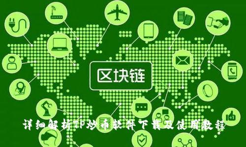 详细解析TP炒币软件下载及使用教程