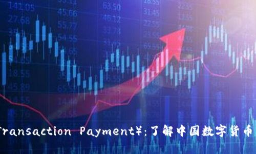 人民币TP（Transaction Payment）：了解中国数字货币的未来发展