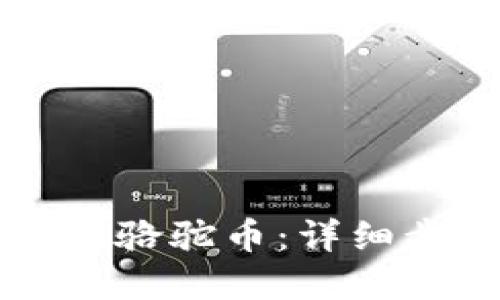 如何在TP中购买骆驼币：详细步骤与实用指南